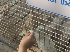 -北京鹿世界主题园