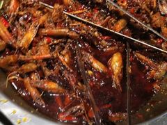 -地中海传奇水汇