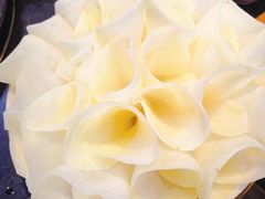 土豆-蜀大侠火锅(建设路第五大道店)