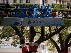 -上海交通大学医学院附属瑞金医院(总院)