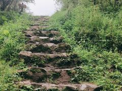 -硗碛藏寨·神木垒景区