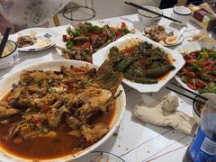 -煲来饱去冷水鱼