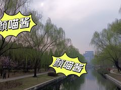 -元大都城垣遗址公园