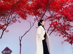 -敬亭山风景名胜区