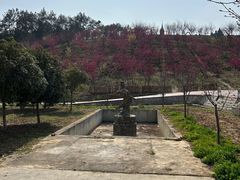 -绵阳盛世樱花悠乐谷