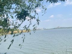 -南湖国家城市湿地公园