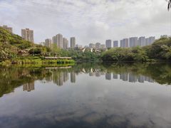 -重庆彩云湖湿地公园