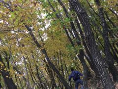 -帽儿山国家森林公园