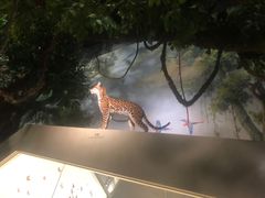 -武汉园博园(武汉自然博物馆)
