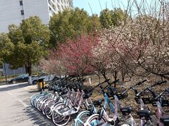 -晓庄学院-食堂