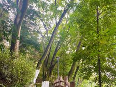 -重庆平顶山公园