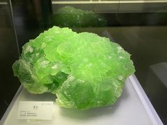 -湖南省地质博物馆