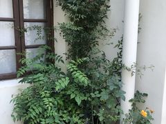 -奈诺甜品·生日蛋糕·下午茶(古城店)