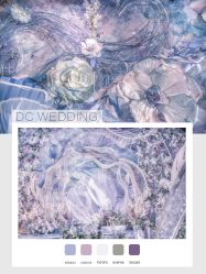 -DC大蔡婚礼策划(李公堤店)