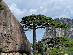 -黄山风景区