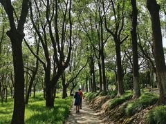 -嘉北郊野公园