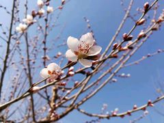 -永定河休闲森林公园