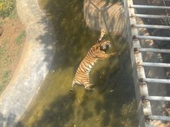 -昆明动物园