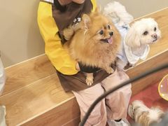 -和它·交个朋友·狗咖猫咖(爱琴海店)