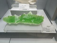 -湖南省地质博物馆