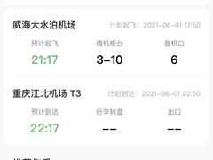 -威海大水泊国际机场