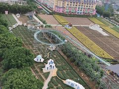 -百万葵园