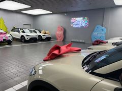-上海浦东smart汽车全功能店(金桥店)