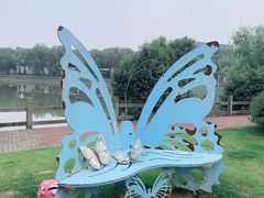 -美兰湖景区