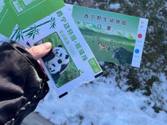 -青藏高原野生动物园