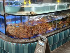 -稻香(马头围道店)