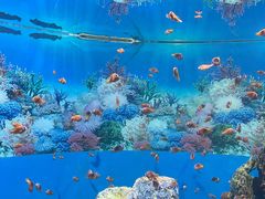 -海合安成都极地海洋公园