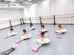 -中央芭蕾舞团·中芭艺蕾(酒仙桥明星校区)