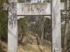 -青岛大珠山景区