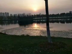 -艾溪湖湿地公园