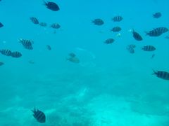 -亚龙湾海底世界