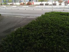 -万达广场(无锡滨湖店)