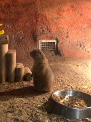 -酷嗒动物文化乐园(cutezoo西溪乐天城店)