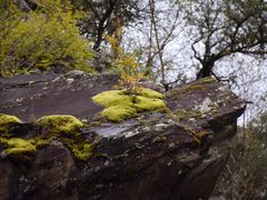 -叠溪松坪沟景区