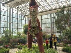 -沈阳植物园