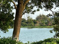 -鹤之洲湿地公园