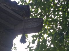 -白水寺森林公园