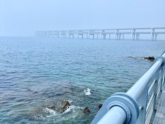 -星海湾跨海大桥