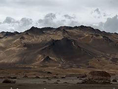 -金塔沙漠胡杨林景区