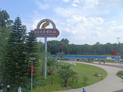 -自贡恐龙博物馆