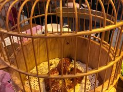 -胡桃里音乐酒馆(环亚凯瑟琳广场店)