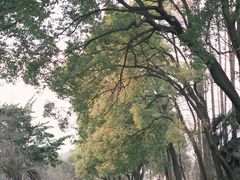 -采石矶景区