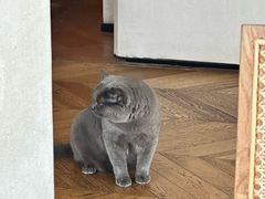 -Me Coffee下午茶艺术空间