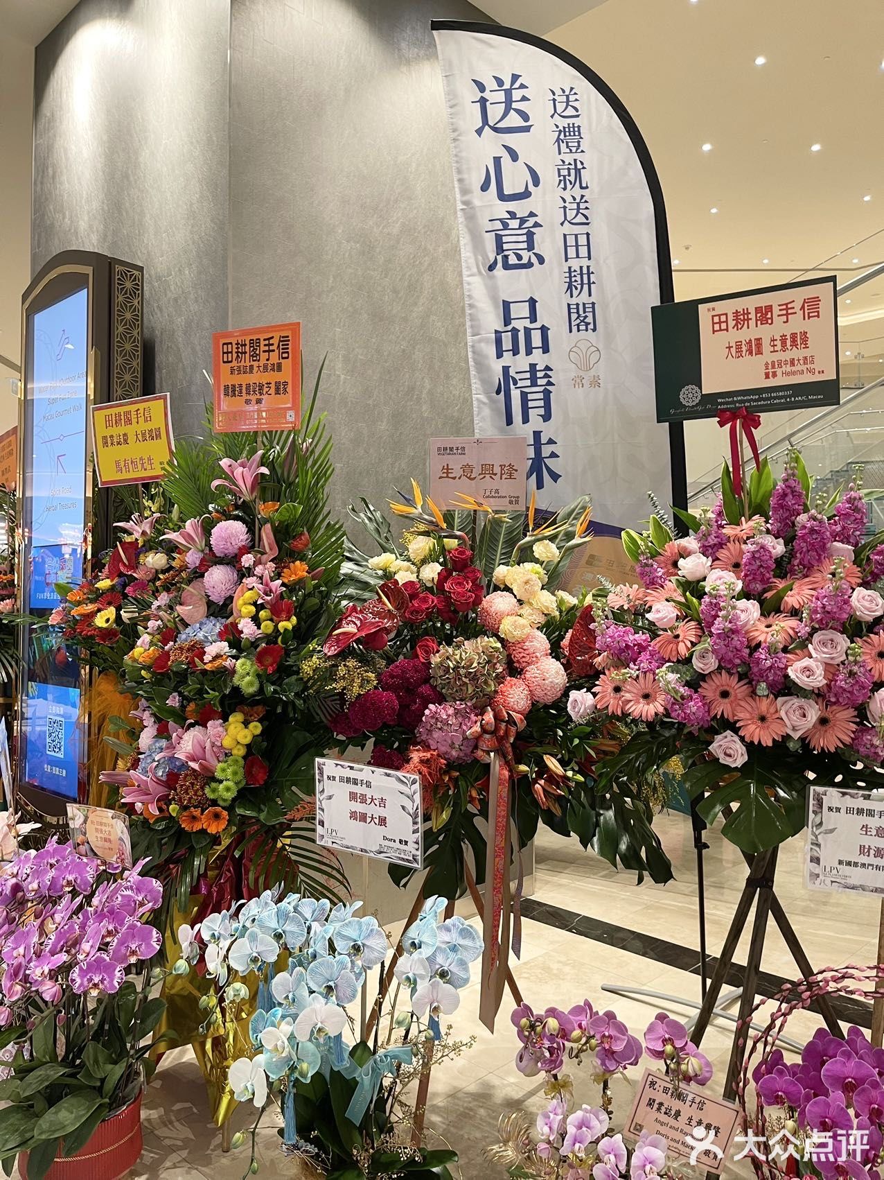 谁能解释一下澳门这个情况…根本挤不进去… 