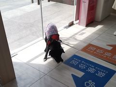 -申普宠物医院·眼科·心内科·影像科(普陀分院)