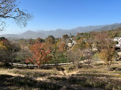 -塔川景区